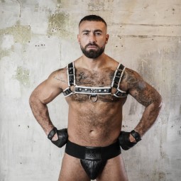 De Luxe Shoulder Harness...